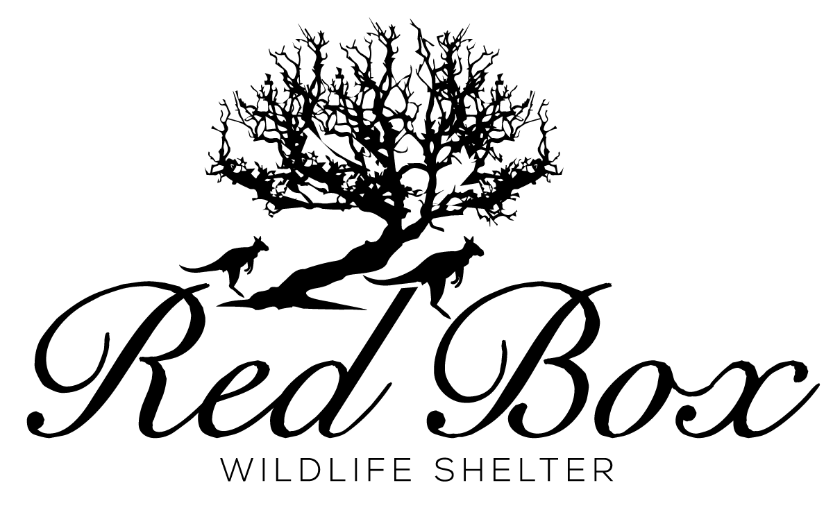 RBWS and Wildlife Centre Our Wish List Red Box Wildlife Shelter